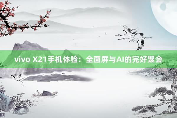 vivo X21手机体验：全面屏与AI的完好聚会